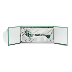 💚Disney Store Visa Cardmember Exclusive Opening Ceremony Key Special Edition NEW